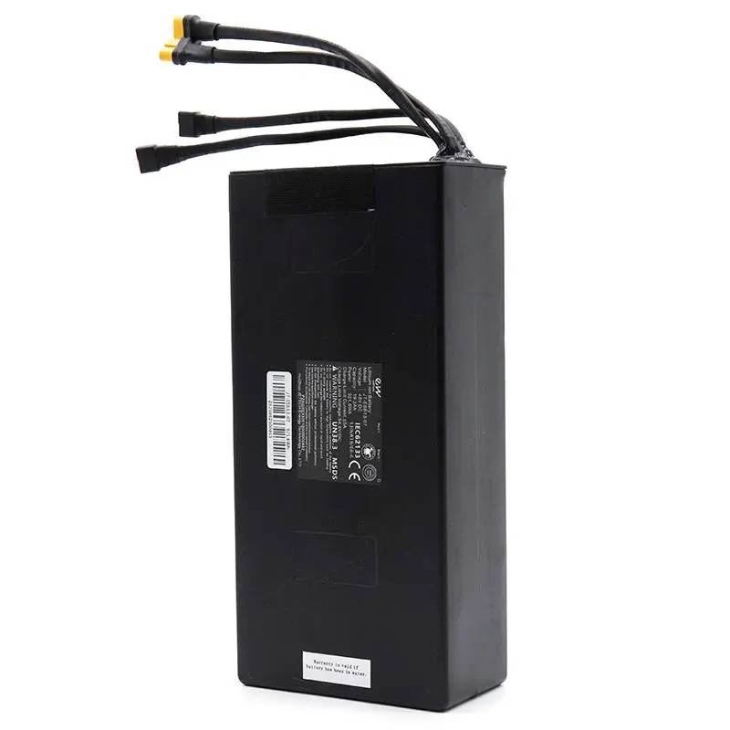 Akku 48V 19.2AH Smartgyro Speedway