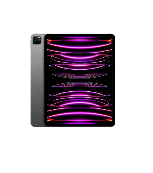 Apple iPad Pro 12,9 (2022) Datenrettung · Köln & Versand