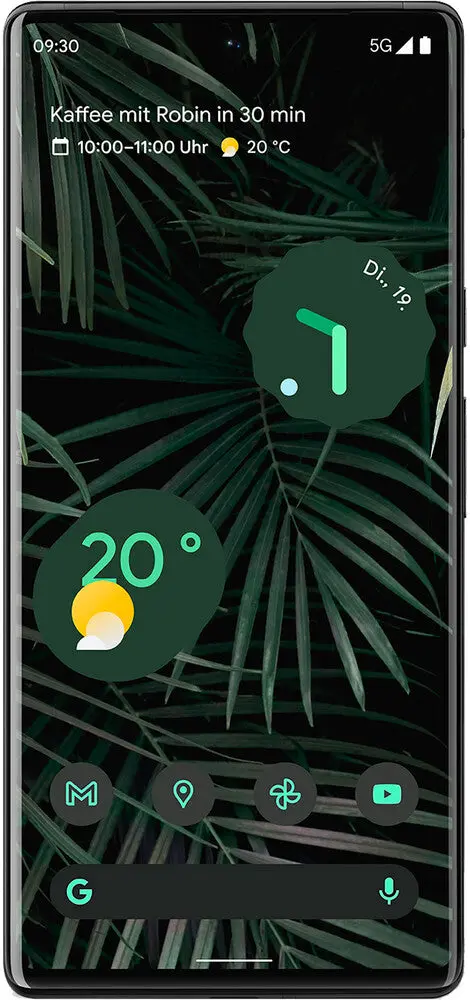 Google Pixel 6 Pro Reparatur