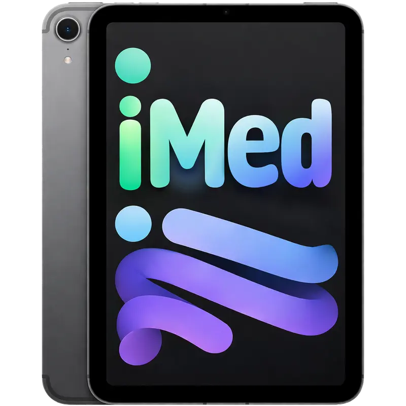 iPad Mini A17 Pro (7. Generation, 2024) Display Reparatur