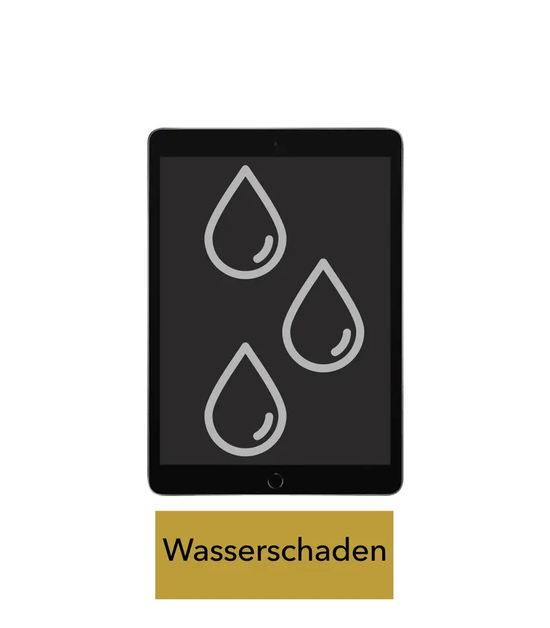 iPad Pro 10.5 Reparatur