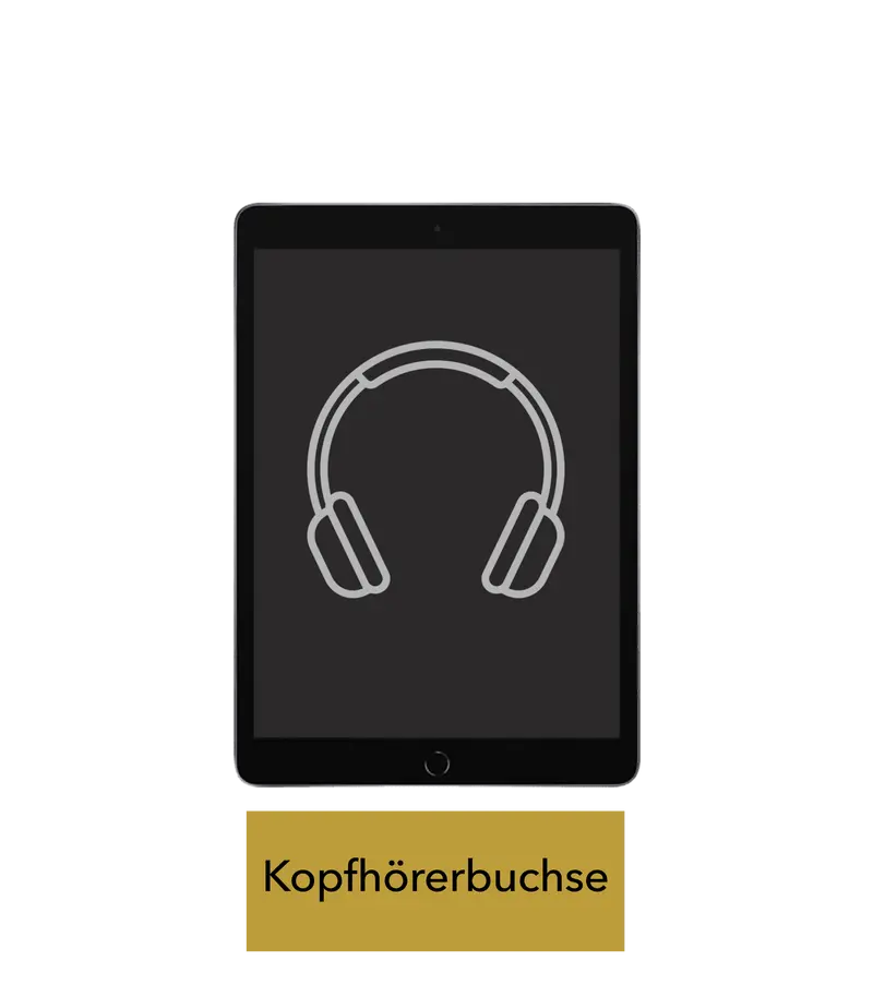 iPad Pro 10.5 Reparatur
