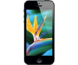 Iphone 5 Reparatur