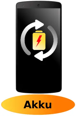 Nexus 5 Reparatur