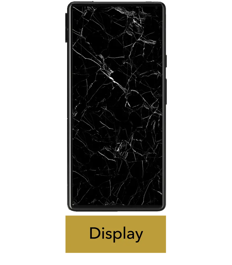 Pixel 6 Pro