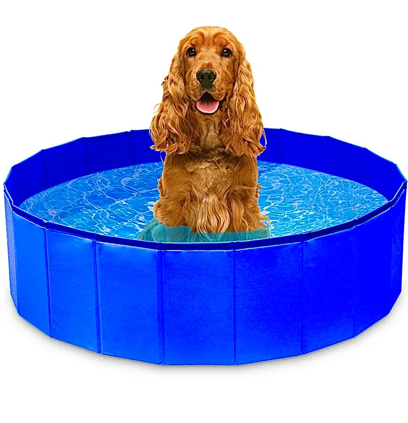 Pool für Hunde und Katzen M-XL