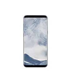 Samsung Galaxy S8 Plus Display (Glas, Touch, LCD) Reparatur