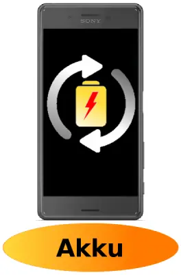Sony X Performance Reparatur