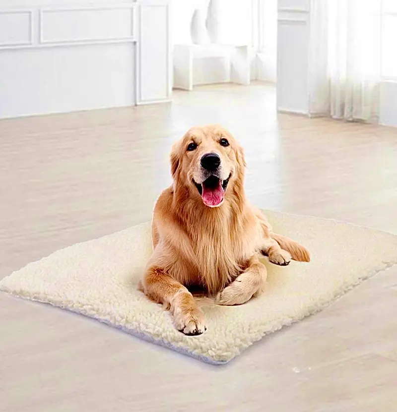 Wärmematte für Hunde und Katzen